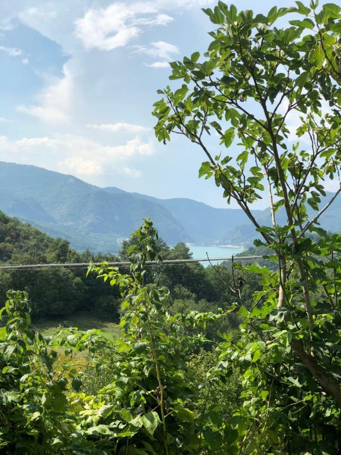 Agriturismo I Due Regni Petrella Salto ภายนอก รูปภาพ